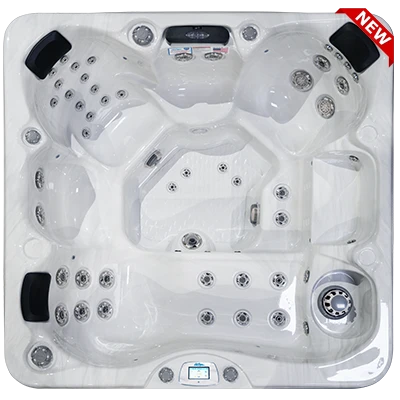 Avalon-X EC-849LX hot tubs for sale in Overland Park